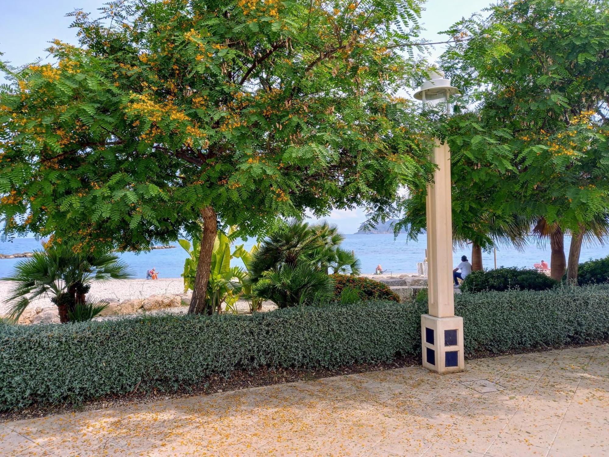 Altea Olivos G Villa Eksteriør billede